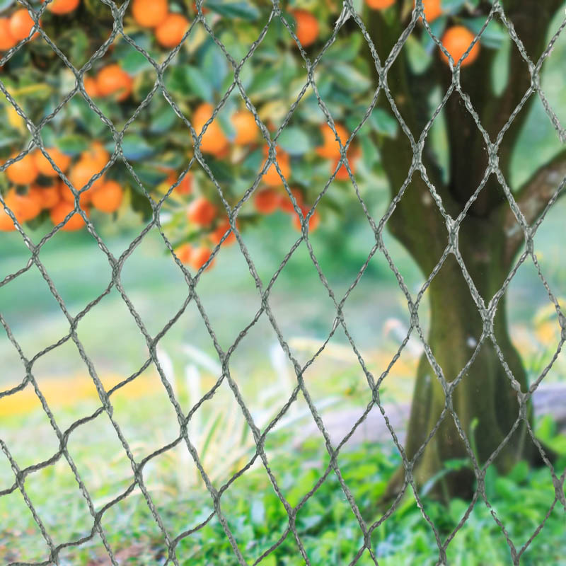 How Does an Anti-bird Net Protect Properties from Bird Damage?