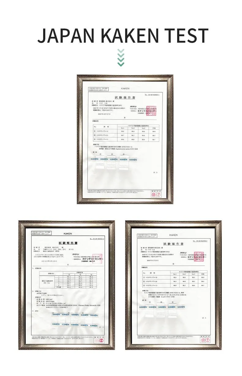 3 Ply Non-Woven Disposable Adult Face Mask