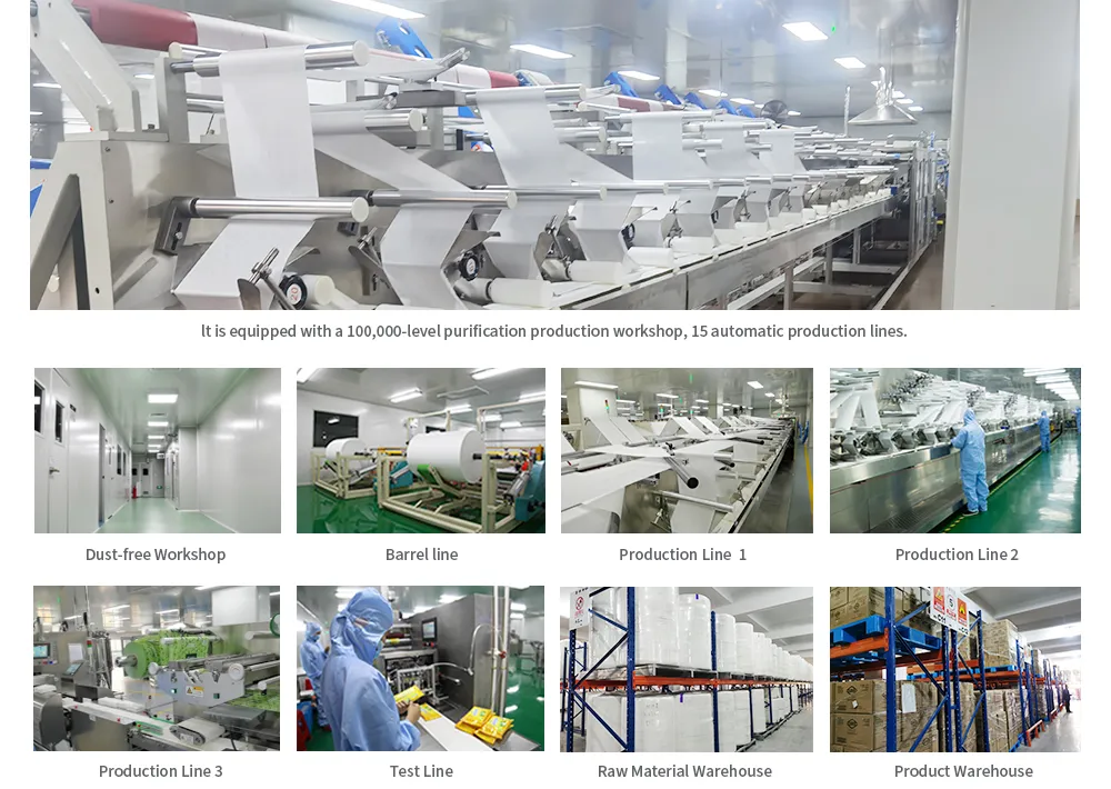 Best 9inch 110g Clean High Quality Class 100 Laser Sealed Lint Free 100%Polyester Cloth Cleanroom Wiper for PCB Cleaning