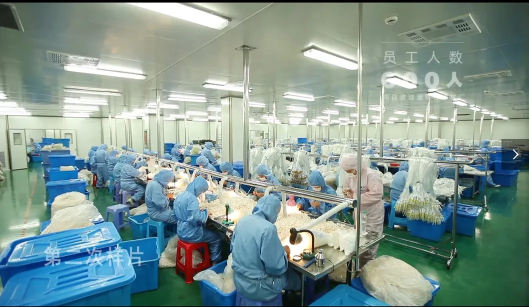 China Products/Suppliers. En149 2163 FFP2 Face Maskb& Respirator Certified by European Standard CE