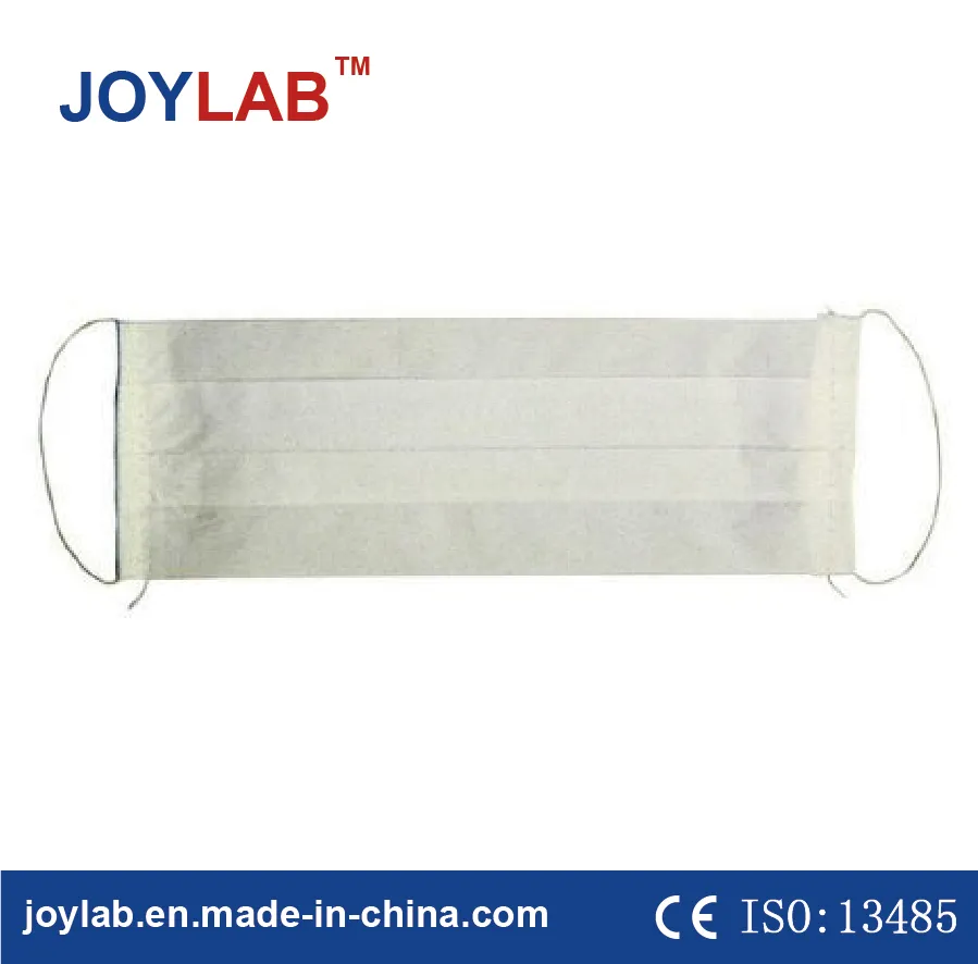 Disposable Environmental 2 Ply Paper Face Mask