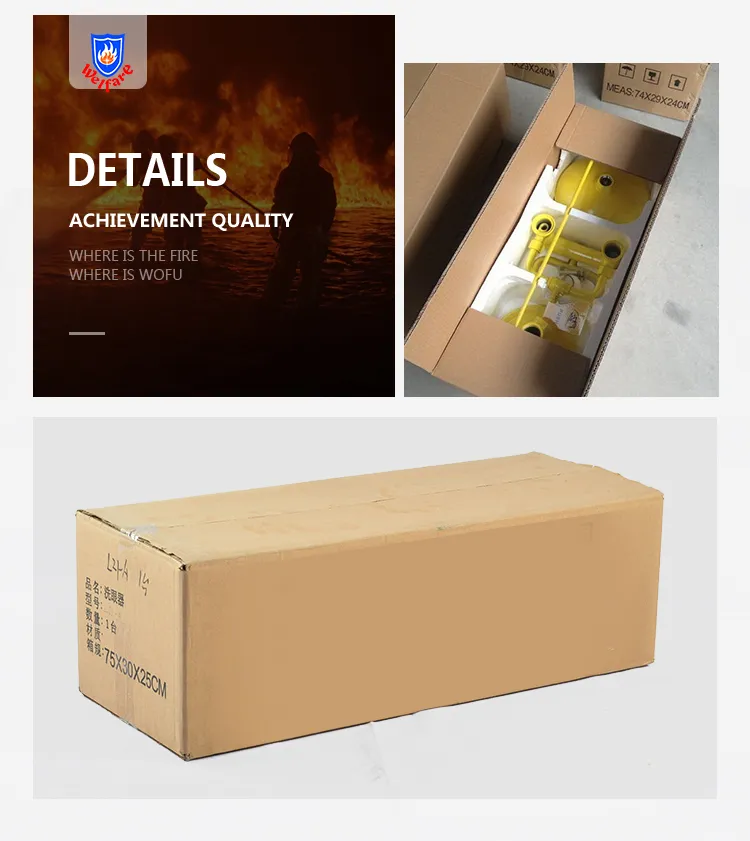 Emergency Eye Wash Station for Safety