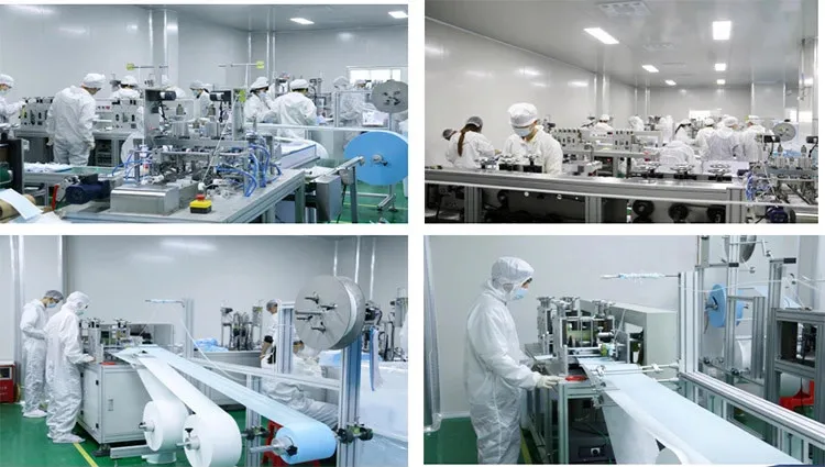 En149: 2001+A1: 2009 FFP2 Nr Non-Woven Customized Face Mask