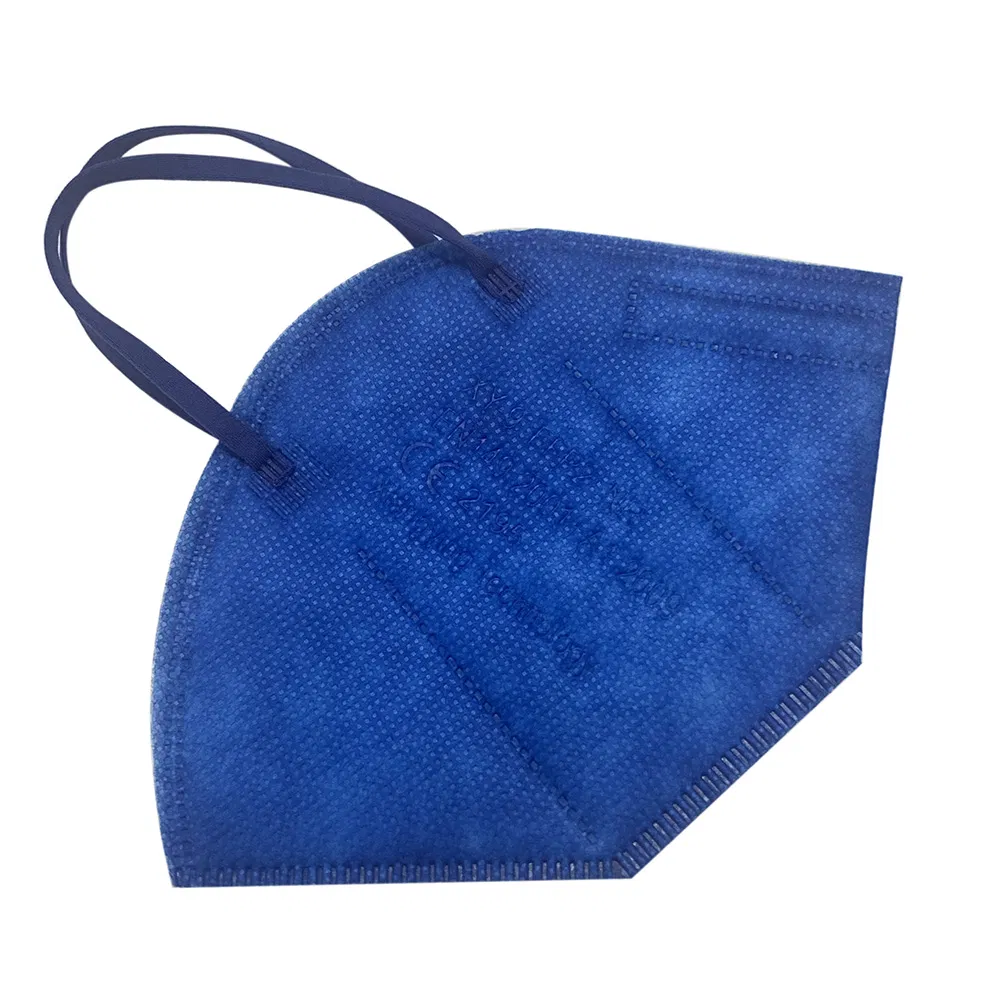 En149: 2001 +A1: 2009 FFP2 Nr Non-Woven Customized Face Mask