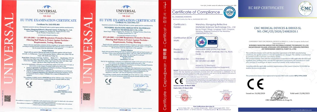 En149: 2001+A1: 2009c FFP2 Disposable Face Mask for Adult Daily Protective
