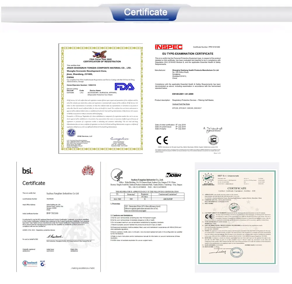 En149: 2001+Ai: 2009 Non-Woven Anti-Dust FFP3 Mask