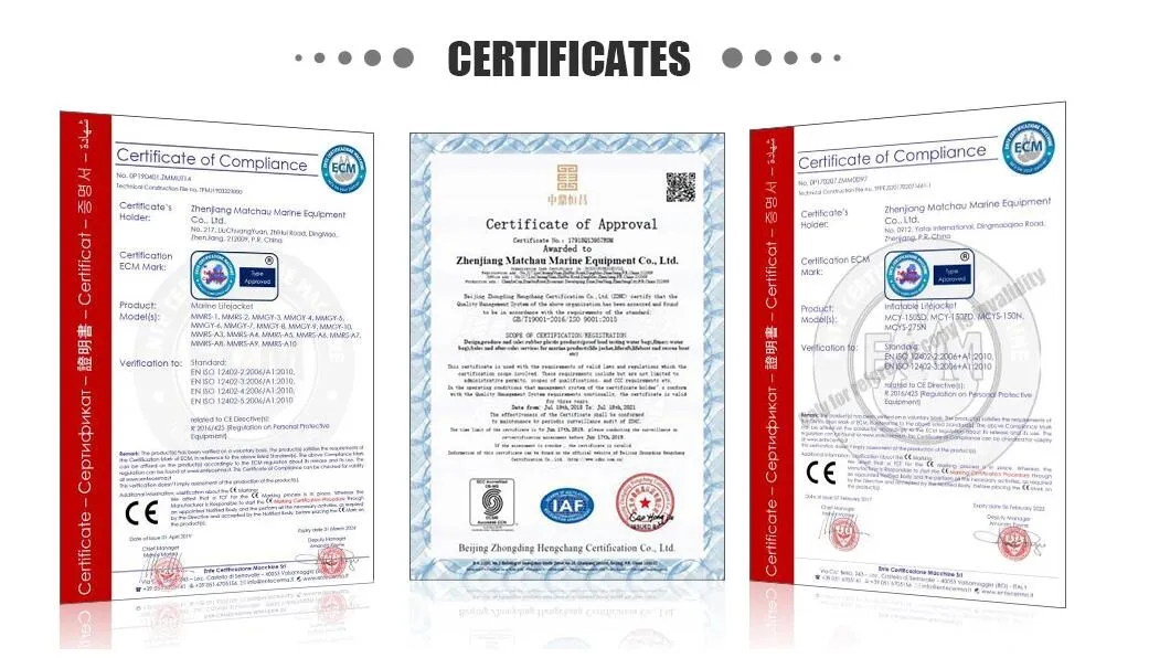 Marine Ship Water Lifesaving Equipment FRP Totally Enclosed Freefall Life Boat