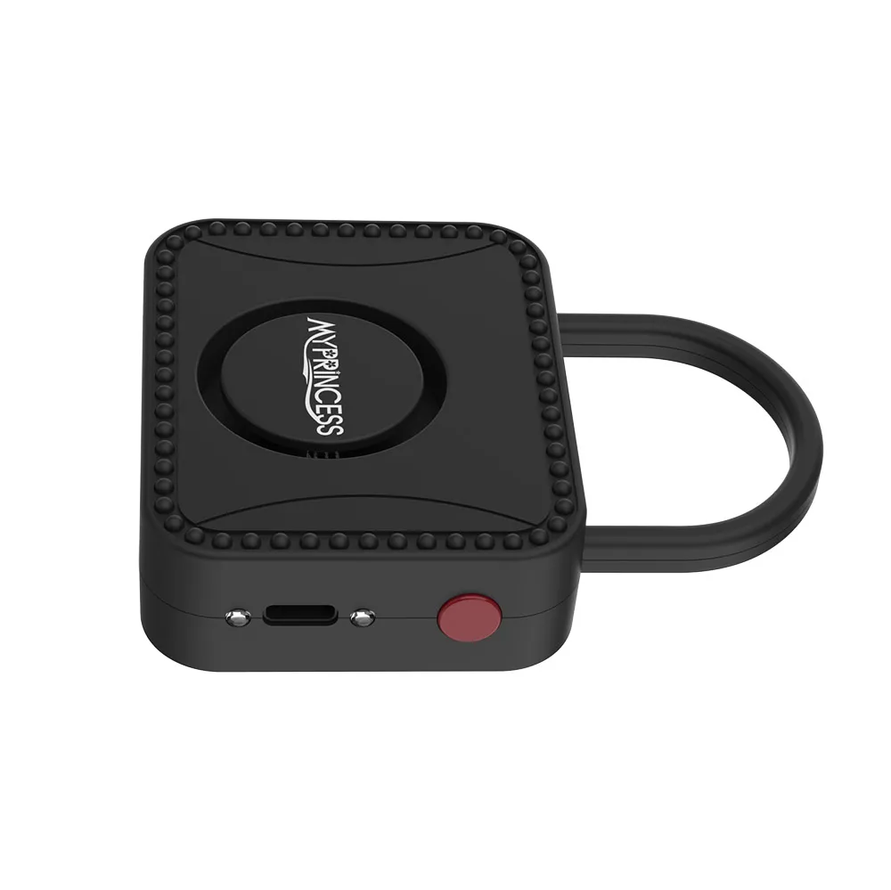 Portable Personal Alarm Type-C Rechargeable Locks Shaped MP-A07