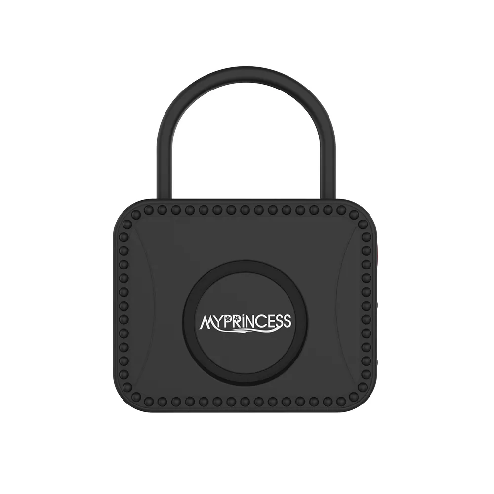 Portable Personal Alarm Type-C Rechargeable Locks Shaped MP-A07