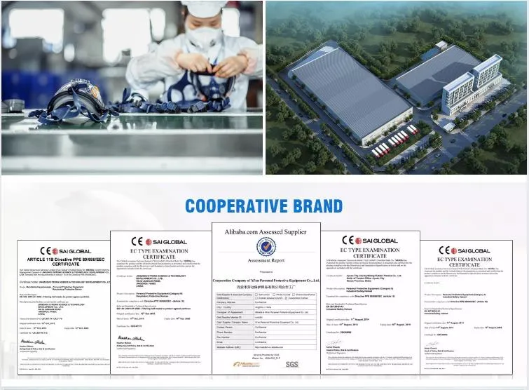 Ppem60X-1b Rubber Disguise Oxygen Mask Vapers Case