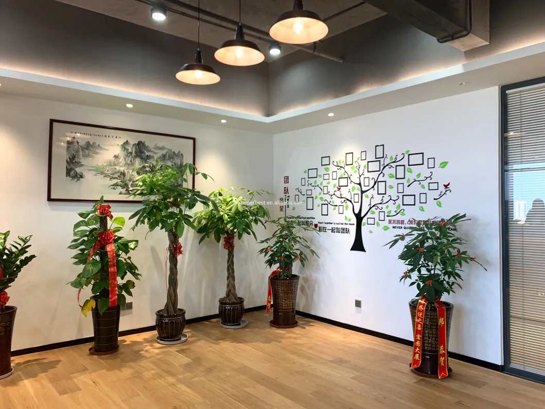 Reusable Facial Protection 5 Layer Anti Dust safety Face Filters